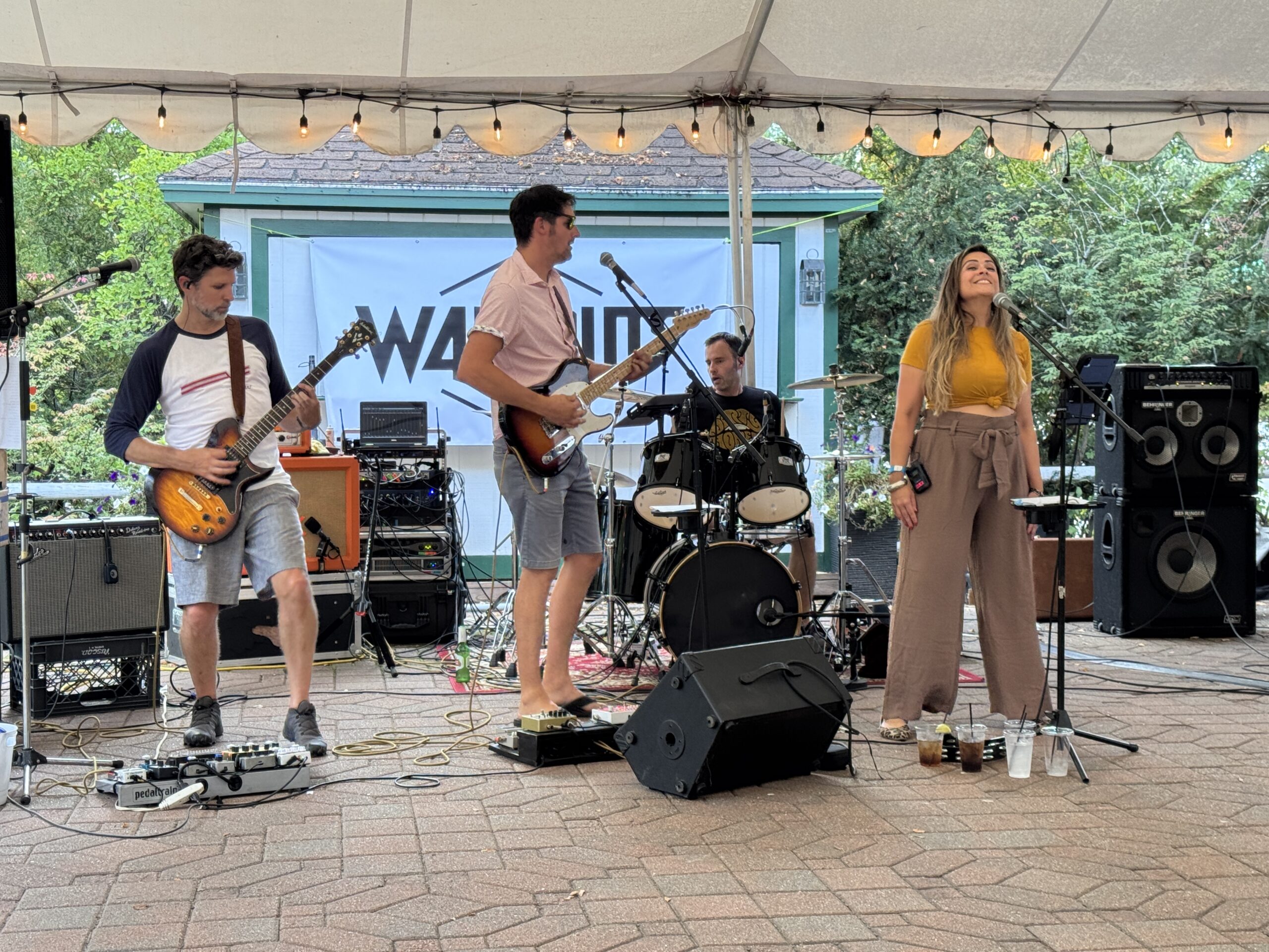 The Walkouts Live