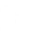 The Walkouts on YouTube